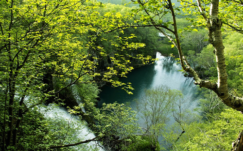 绿水青山