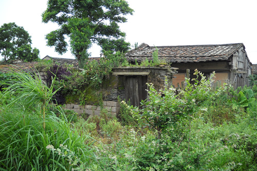 宅基地改革