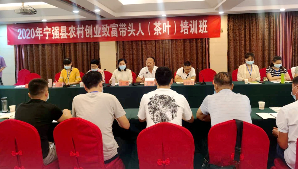 茶叶培训班.jpg